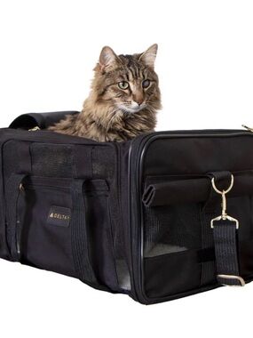 Delta Black Soft-Sided Pet Travel Carrier with Mesh Panels